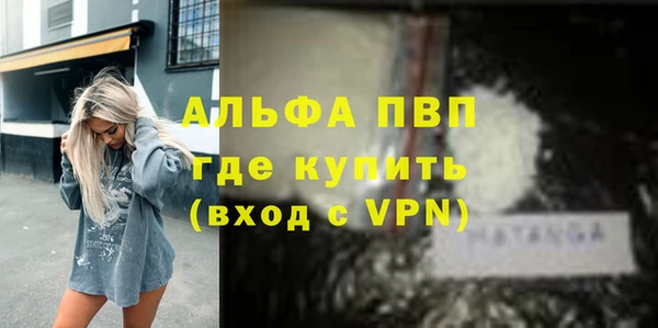 винт Арсеньев