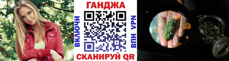 Конопля сатива  Покров 